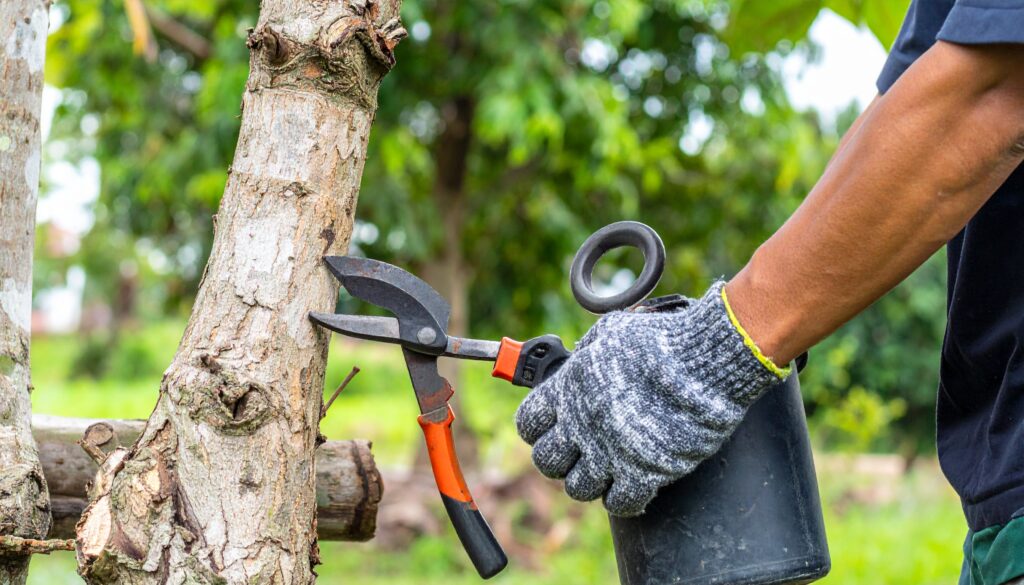 Firefly Tree Maintenance 773559