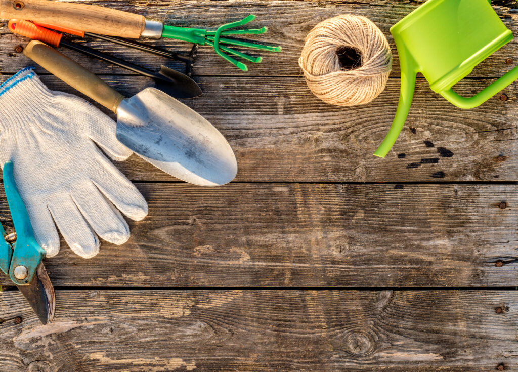 Gardening tools and watering can on wooden background with copy space for text top view - tree trimming tips